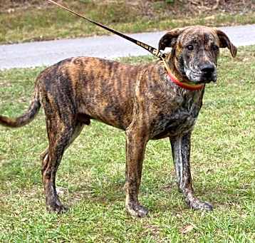 Photo of Jesse 41504