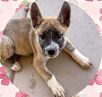 Photo of ATHENA