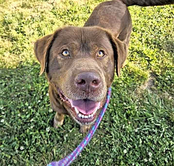 Photo of *CHARLIE