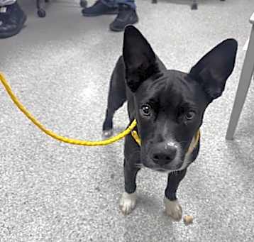 Photo of ENZO