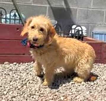 Photo of ABBY