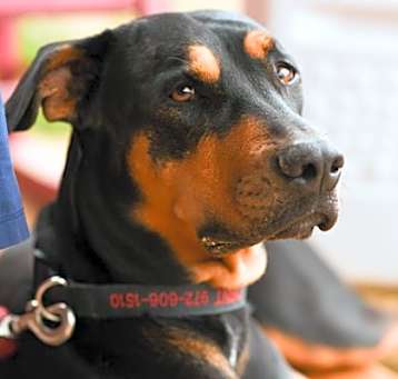 Photo of Cindy