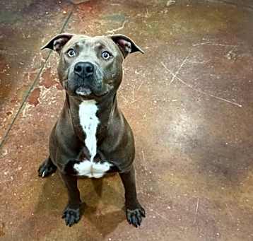 Photo of Spike
