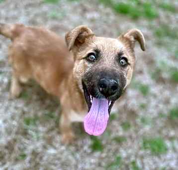 Photo of Champ ~ meet me!
