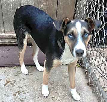 Photo of Ofelia