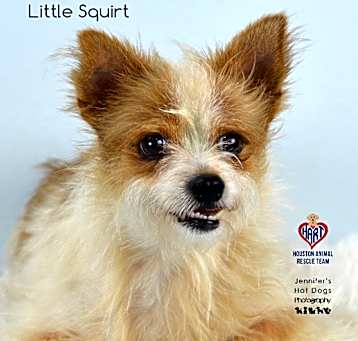 Photo of Little Squirt