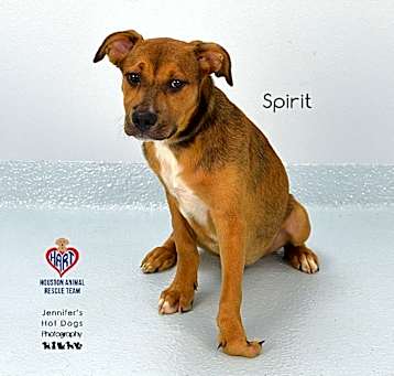 Photo of Spirit