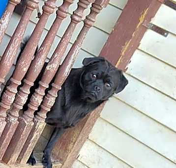 Photo of Jethro