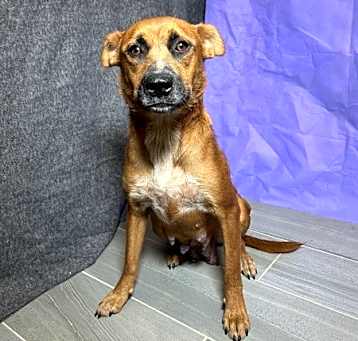 Photo of Hera