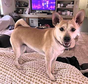 Photo of Skittles