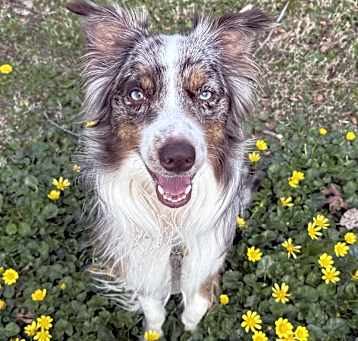 Photo of Bentley