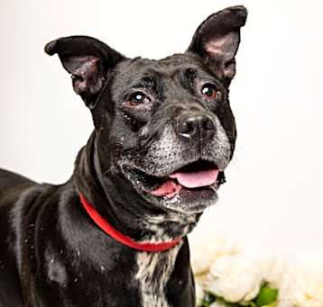 Photo of Kiva