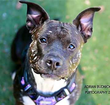 Photo of NEVAEH