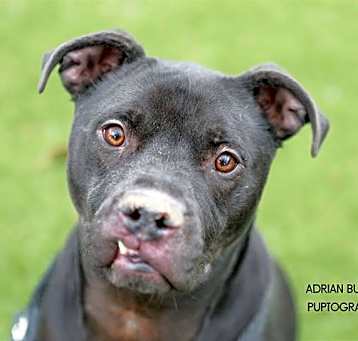 Photo of ODIN