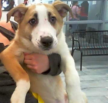 Photo of SKYE
