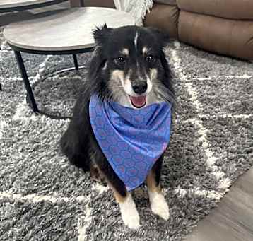 Photo of Benny