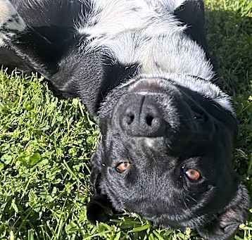 Photo of Jetson