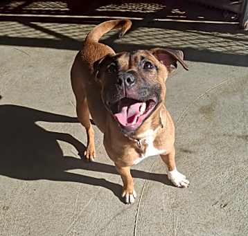 Photo of Tesha