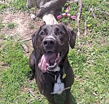 Photo of Thor