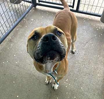 Photo of Tank