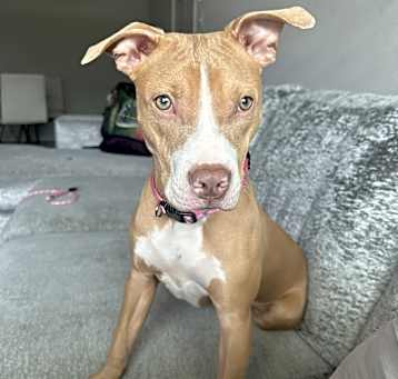 Photo of Daisy Mae
