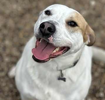 Photo of Maggie