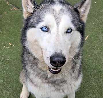 Photo of BUSTER