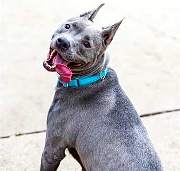 Photo of RUBY