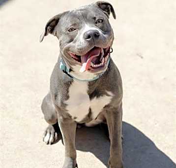 Photo of LUNA