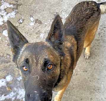 Photo of ODIN