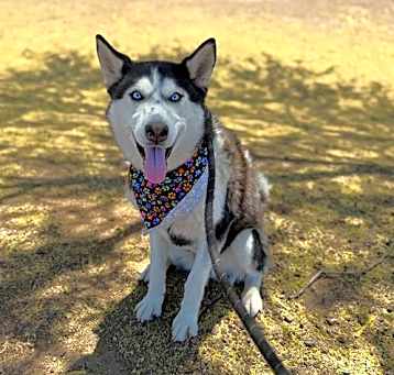 Photo of MISTY