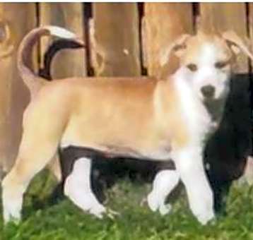 Photo of Maggie