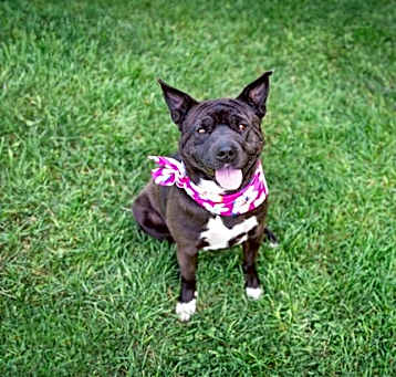 Photo of Lainey