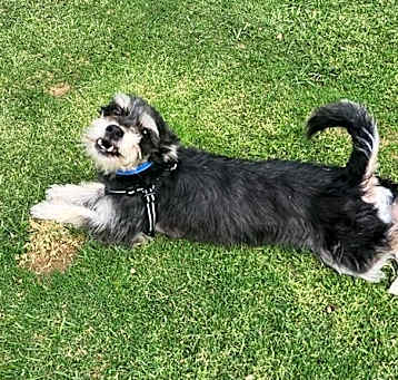 Photo of Dugan