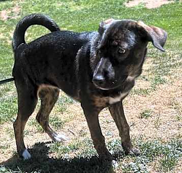 Photo of Layla