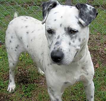 Photo of Quincy