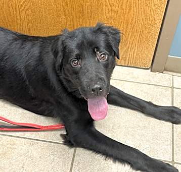Photo of Murphy