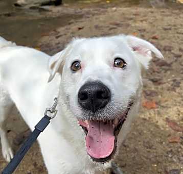 Photo of Winnie