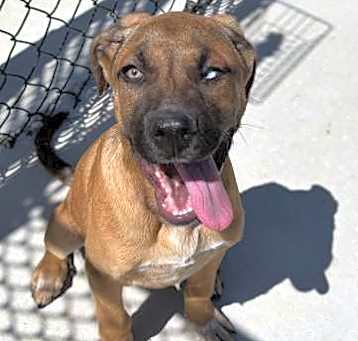 Photo of Kilo