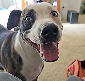 Photo of Leroy