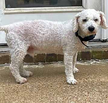 Photo of Morgan Bichon
