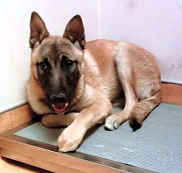 Photo of THOR