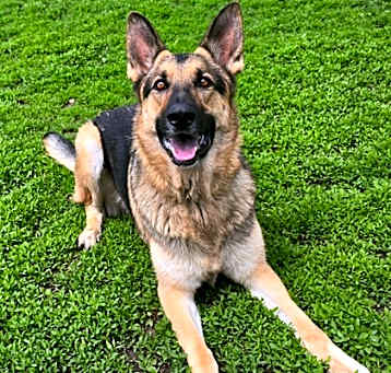 Photo of Poseidon (Zepp)