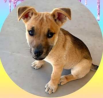 Photo of HERCULES