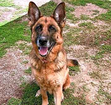 Photo of DUDETTE