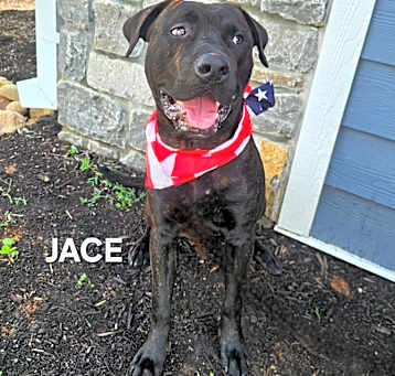 Photo of Jace