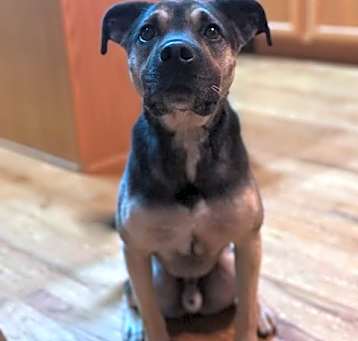 Photo of Boudreaux