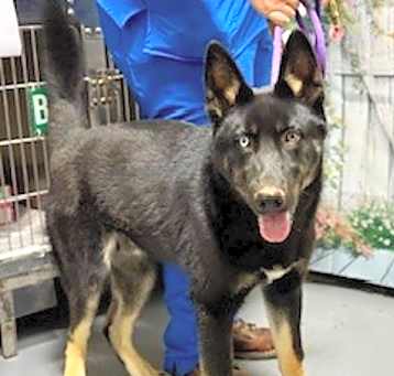 Photo of 25-05-1220 Edgar