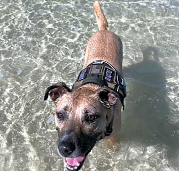 Photo of Hazel