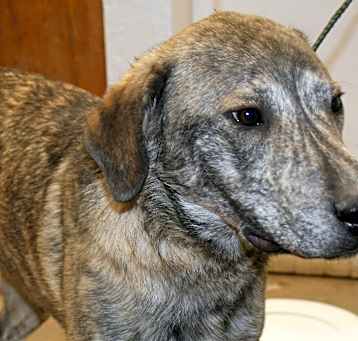 Photo of Jax